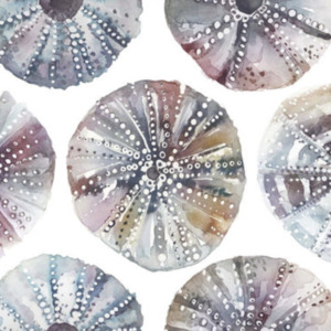 Voyage riviera fabric 25 product listing