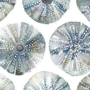 Voyage riviera fabric 27 product listing