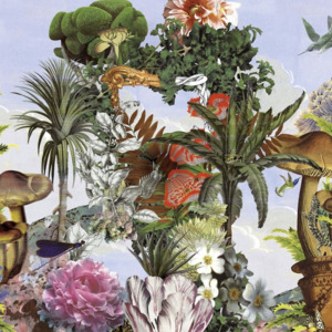Christian lacroix histoires naturelles wallpaper 12 product listing