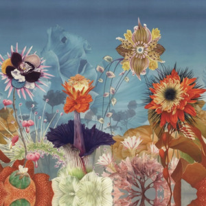 Christian lacroix pele mele 11 product listing