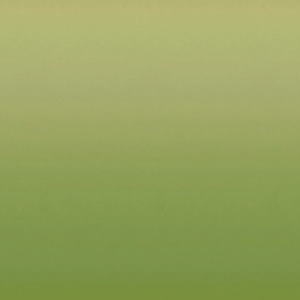 Designers guild fabric bellavista ombre 6 product listing