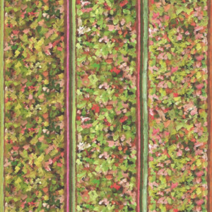 Designers guild fabric pottery studio 16 product listing