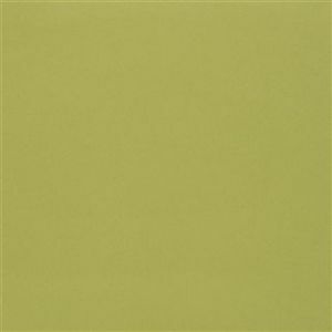 Designers guild fabric farran 38 product detail