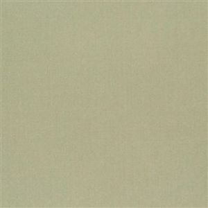 Designers guild fabric tiber 45 product listing