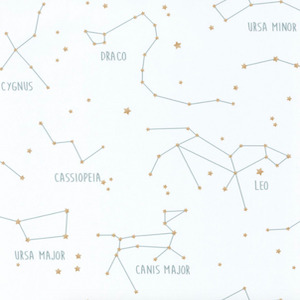 Caselio wallpaper our planet 6 product listing