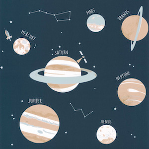 Caselio wallpaper our planet 35 product listing