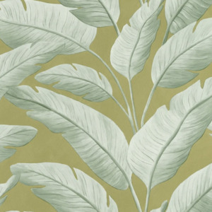 Caselio wallpaper borneo 1 product listing