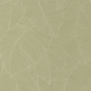 Caselio wallpaper borneo 7 product listing