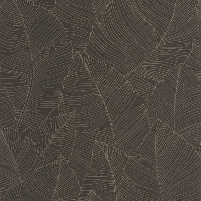 Caselio wallpaper borneo 9 product detail