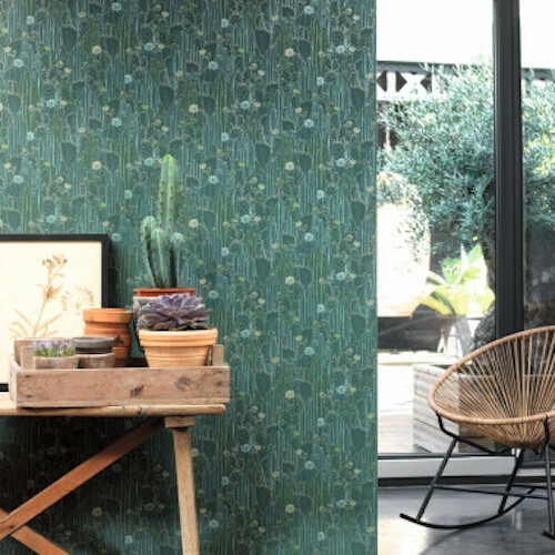 Cactaceae wallpaper product detail