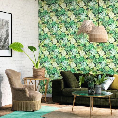 Echeveria wallpaper product detail