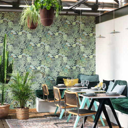 Albizia wallpaper product detail