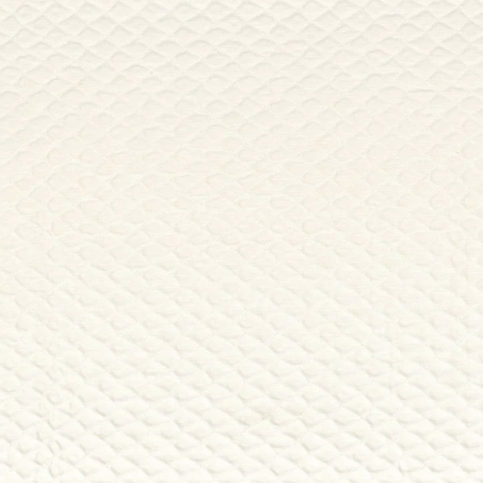 Camengo espuma 1 product detail