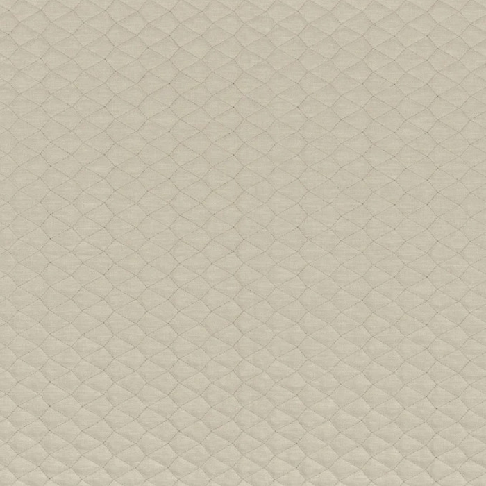Camengo espuma 2 product detail