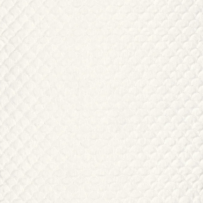 Camengo espuma 17 product detail
