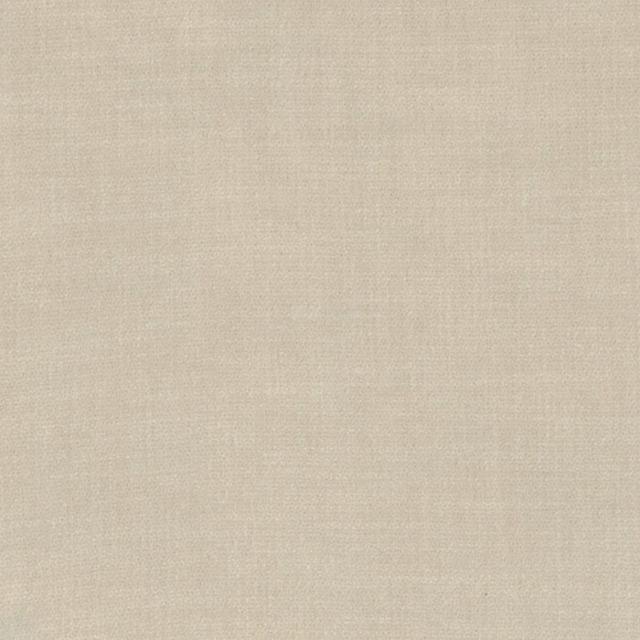 Camengo kauri 5 product detail
