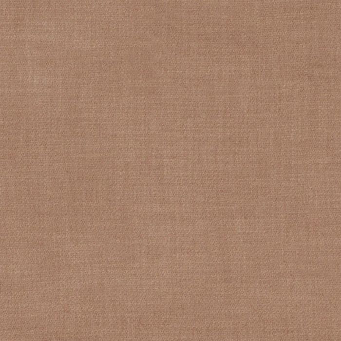 Camengo kauri 19 product detail