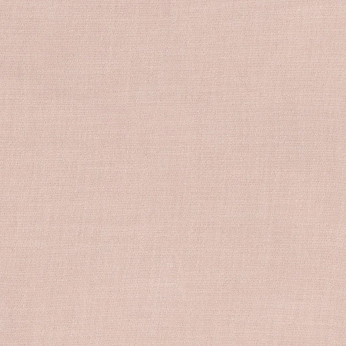 Camengo kauri 18 product detail