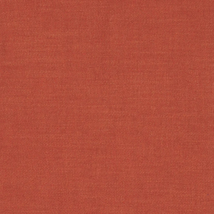 Camengo kauri 20 product detail