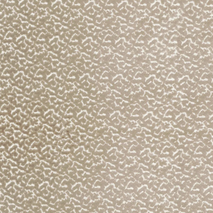 Camengo originelle 2 product detail