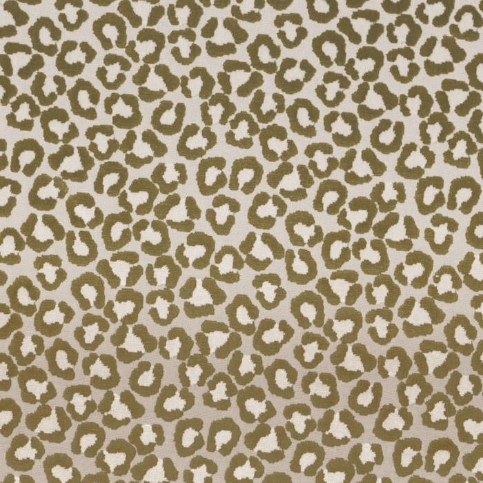 Camengo tamia 9 product detail