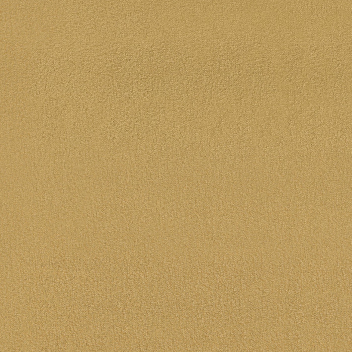 Camengo zenith 2 product detail