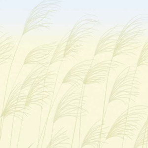 Harlequin wallpaper kasuri 23 product listing