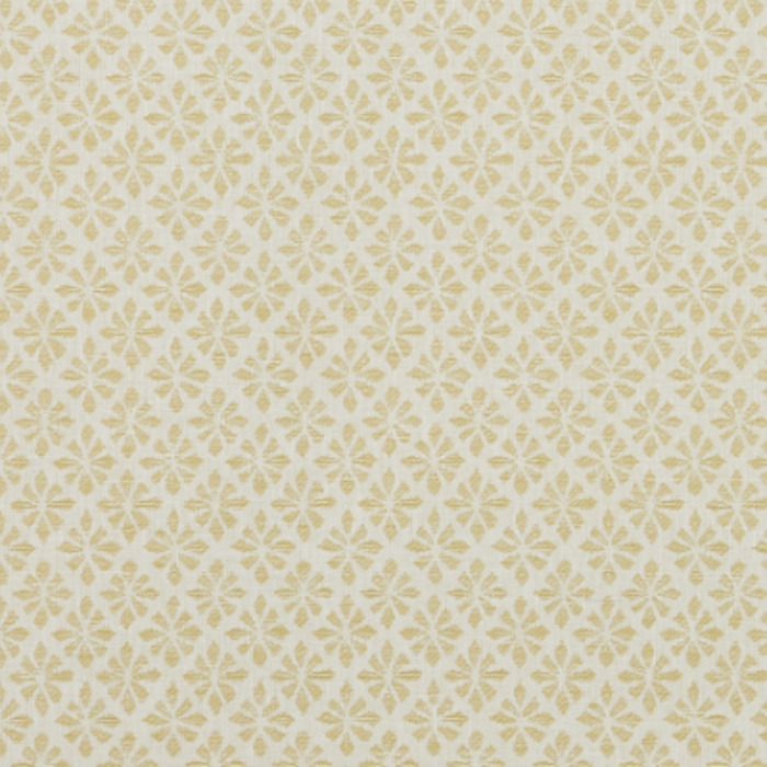Iliv rewilding 3 product detail