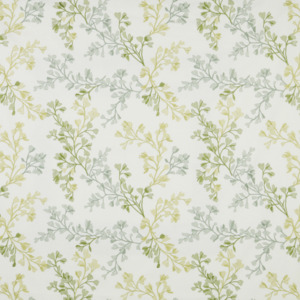 Iliv rewilding 15 product listing