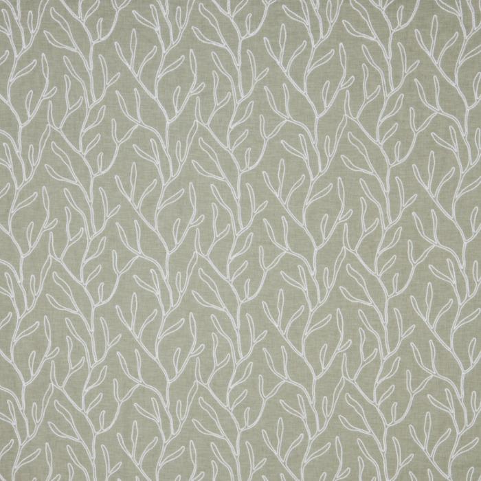 Iliv rewilding 18 product detail