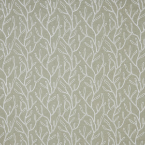 Iliv rewilding 18 product listing