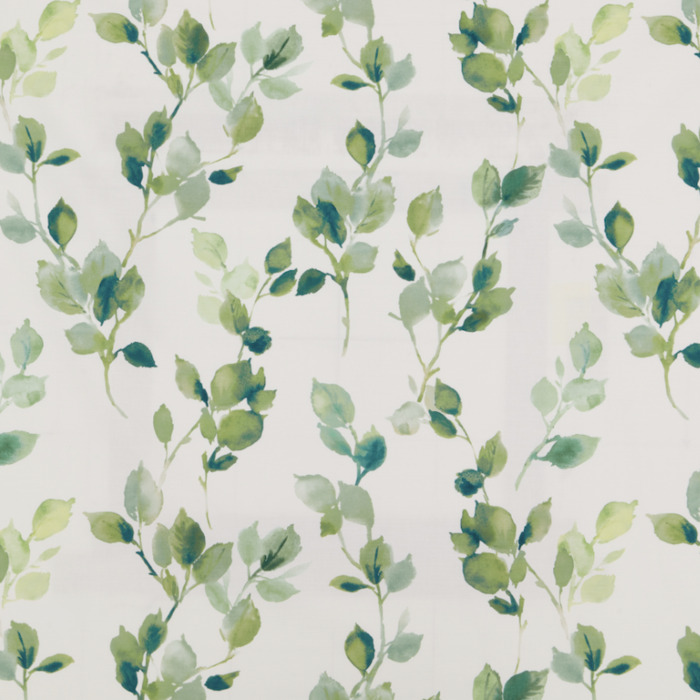 Iliv rewilding 23 product detail