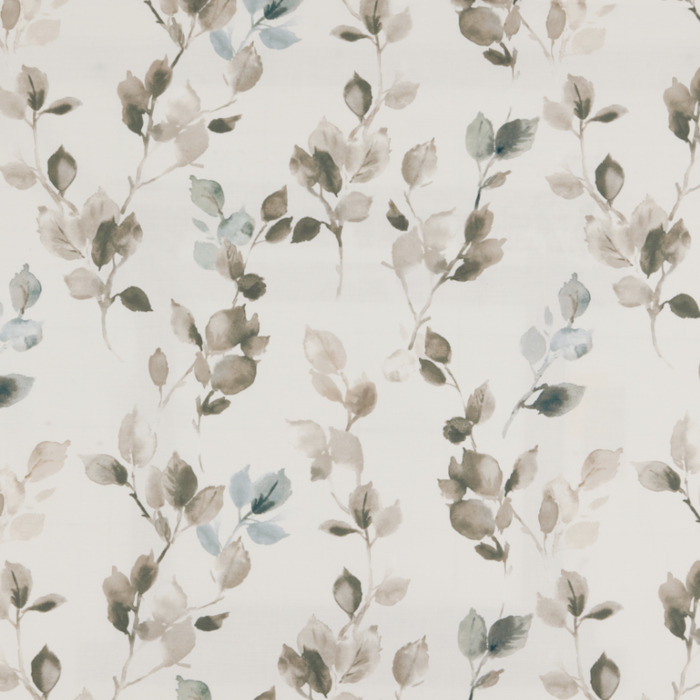 Iliv rewilding 24 product detail
