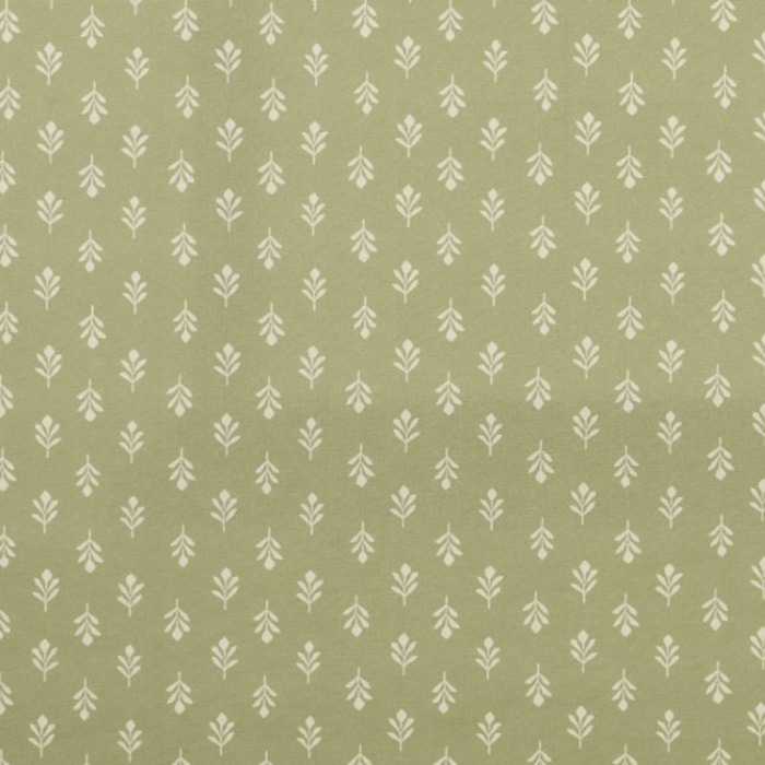 Iliv rewilding 34 product detail