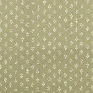Iliv rewilding 34 product listing
