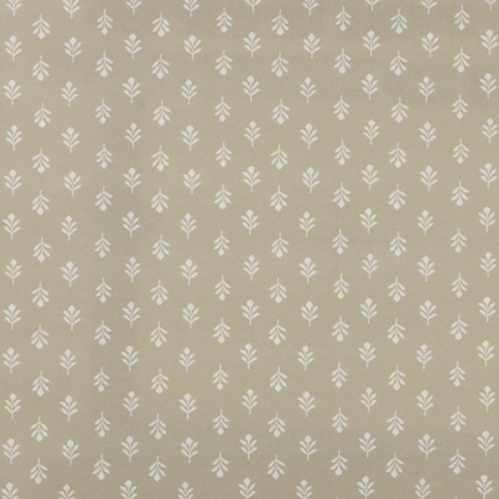 Iliv rewilding 37 product detail