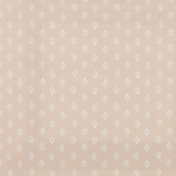 Iliv rewilding 38 product detail