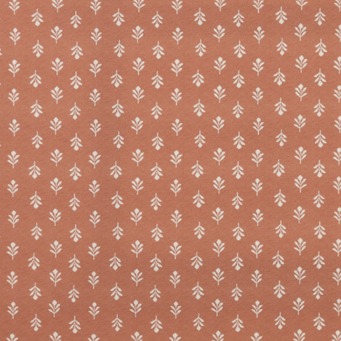 Iliv rewilding 39 product detail