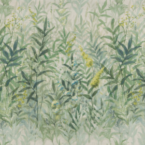 Iliv rewilding 45 product listing