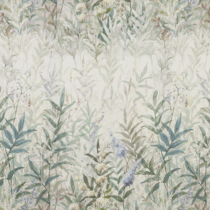 Iliv rewilding 46 product detail