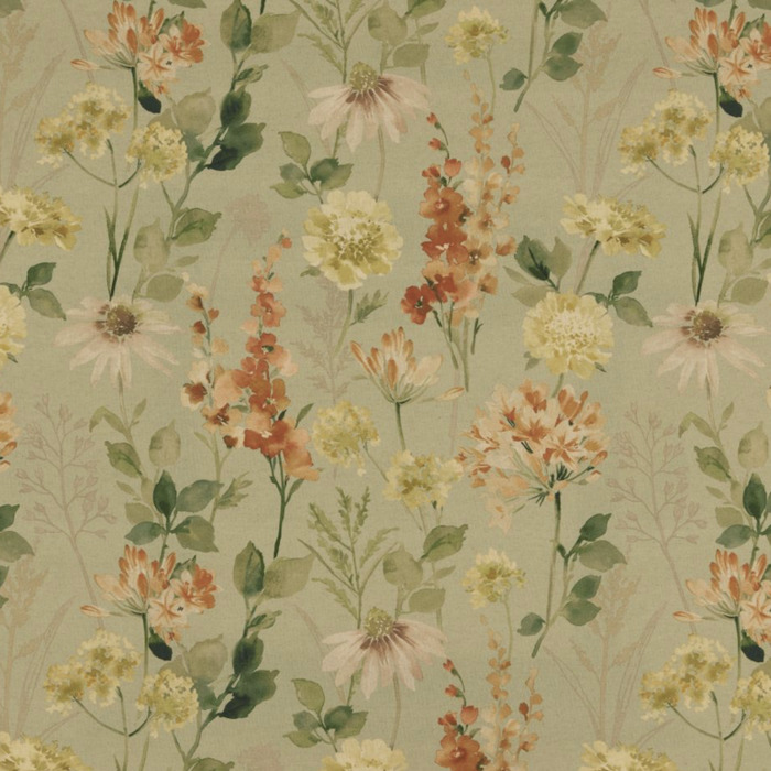 Iliv rewilding 51 product detail