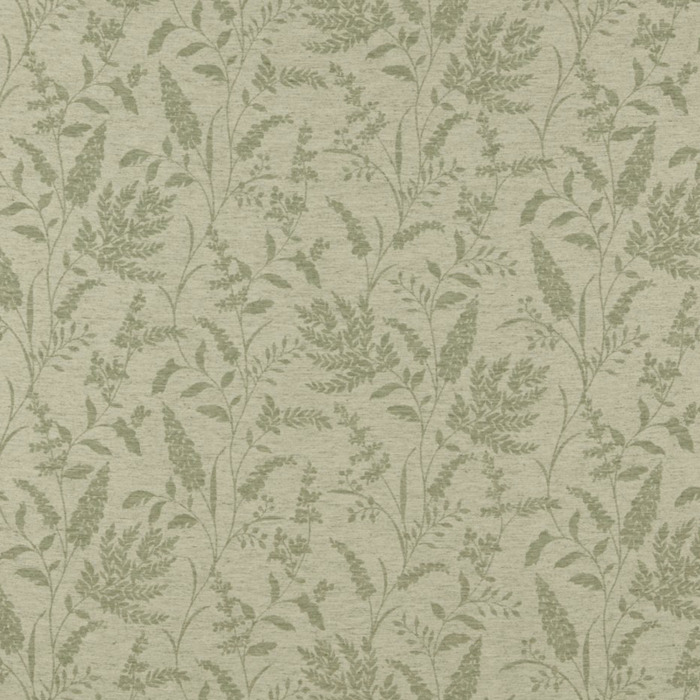 Iliv rewilding 55 product detail