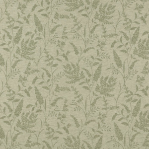 Iliv rewilding 55 product listing
