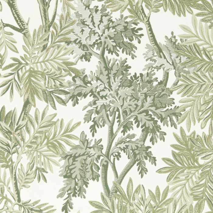 Sanderson wallpaper country woodland 23 product detail