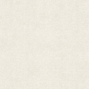 Warwick chunki 10 product listing