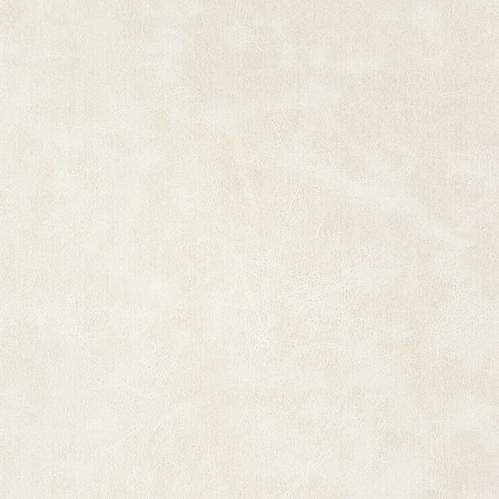 Thibaut fabric vegan leather 14 product detail