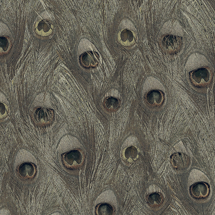 Carlucci wallpaper cosmic kiss 2 product detail