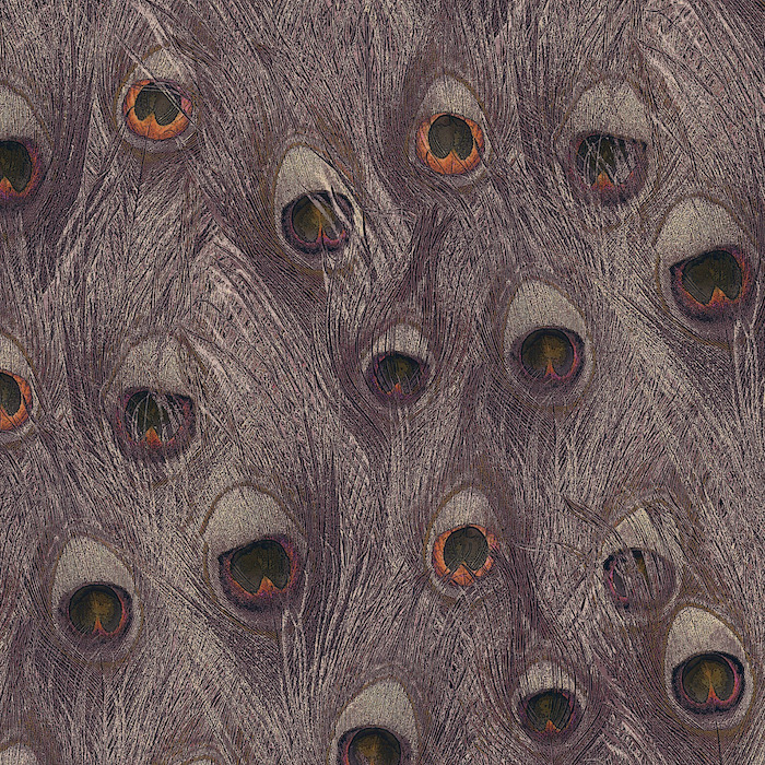 Carlucci wallpaper cosmic kiss 3 product detail