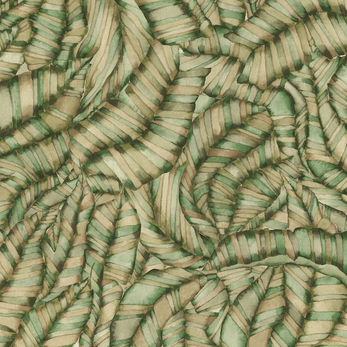 Voyage evergreen 6 product detail