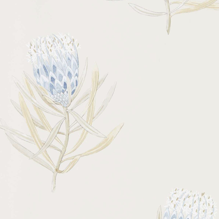 Sanderson wallpaper curios 37 product detail